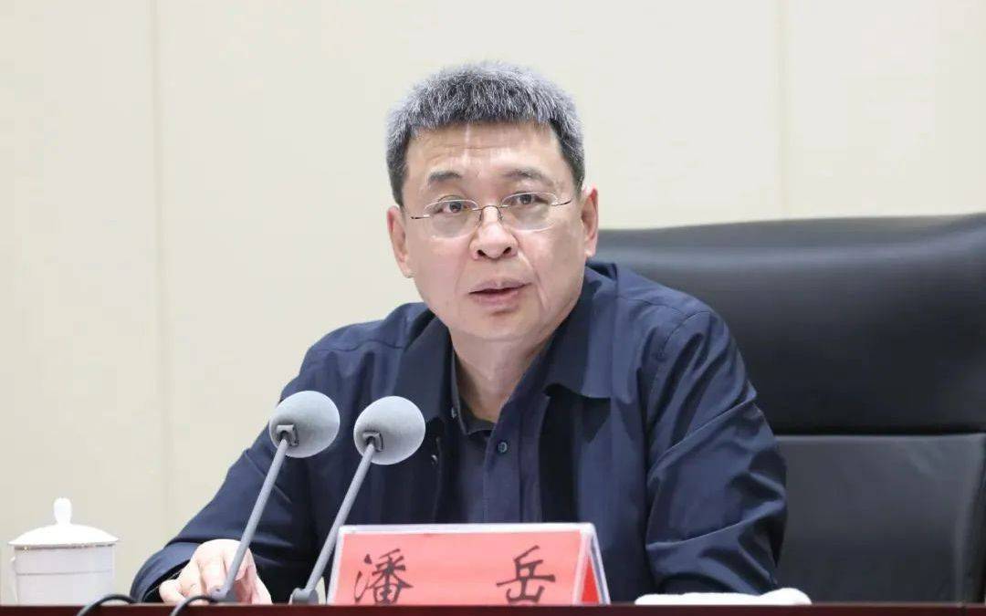 正部级潘岳<strong></p>
<p>艾达币交易</strong>，有新职