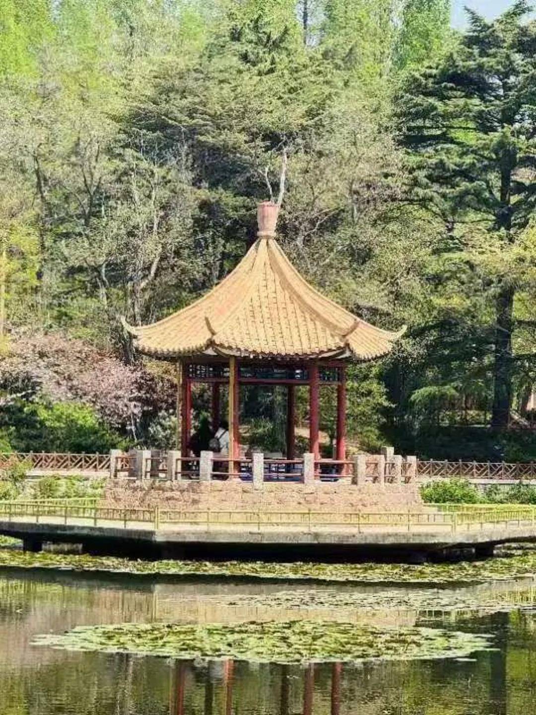 青岛中山公园一凉亭突然倒塌：一年前刚完成修缮<strong></p>
<p>BCH交易</strong>，园方称无伤亡原因待查