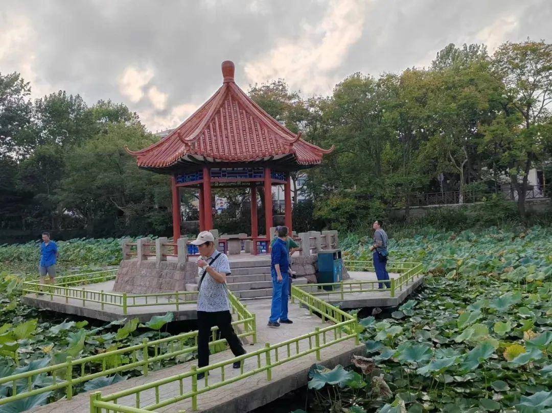 青岛中山公园一凉亭突然倒塌：一年前刚完成修缮<strong></p>
<p>BCH交易</strong>，园方称无伤亡原因待查