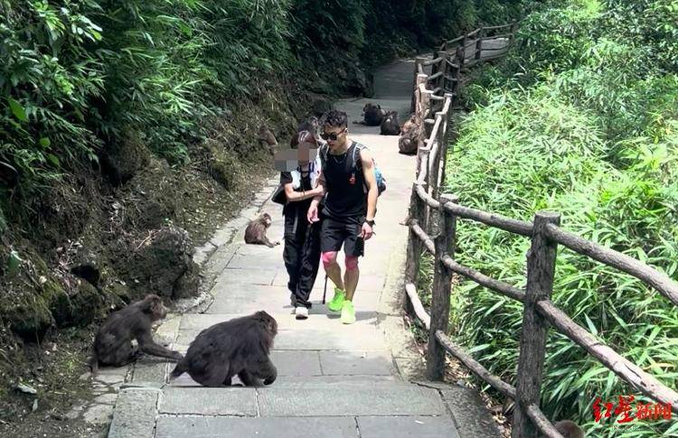 揭秘峨眉山陪爬团队：已陪爬千名游客九成为女性<strong></p>
<p>比特现金交易</strong>，不会主动拉背扛抱，主要保障安全
