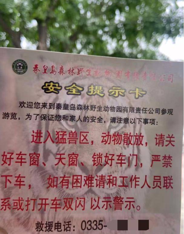 惊险！野生动物园内<strong></p>
<p>BSV-比特币交易</strong>，两车剐蹭，车主下车沟通老虎一旁围观