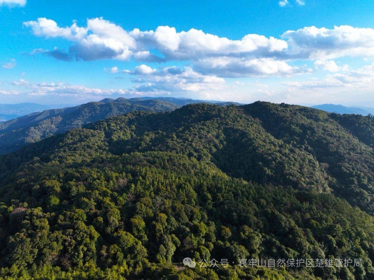 云南哀牢山新规出台：禁止任何单位和个人擅入哀牢山自然保护区<strong></p>
<p>BSV交易</strong>，从事科研活动须报批