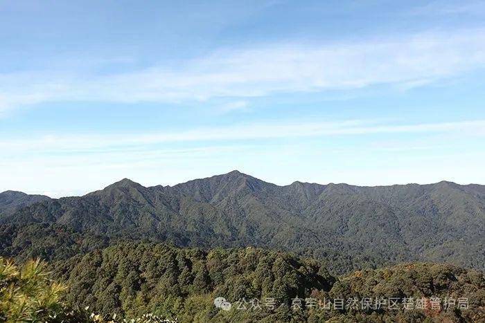 云南哀牢山新规出台：禁止任何单位和个人擅入哀牢山自然保护区<strong></p>
<p>BSV交易</strong>，从事科研活动须报批