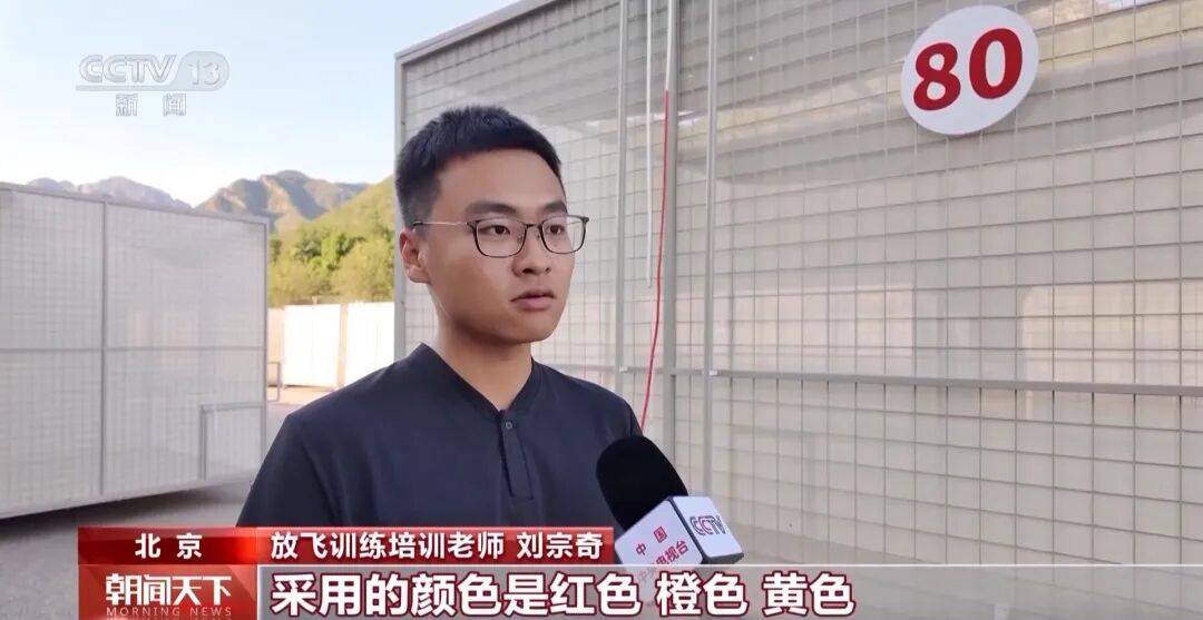 明天将放飞8万羽和平鸽、8万只气球<strong></p>
<p>BSV交易</strong>，揭秘！