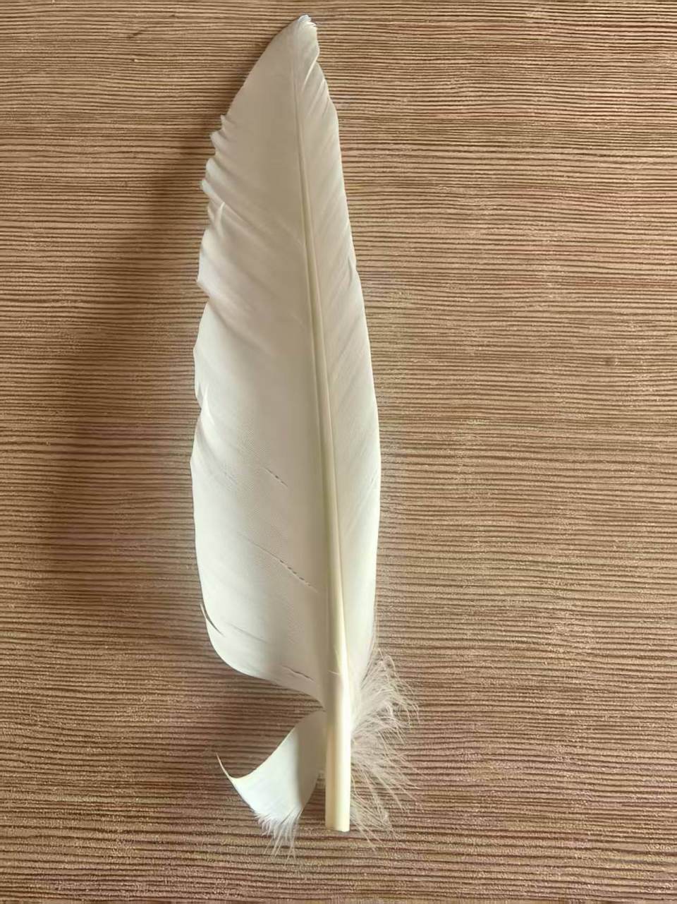 羽毛球又又又涨价<strong></p>
<p>BSV交易</strong>，球友破防：月花三千扛不住，打球人的天塌了
