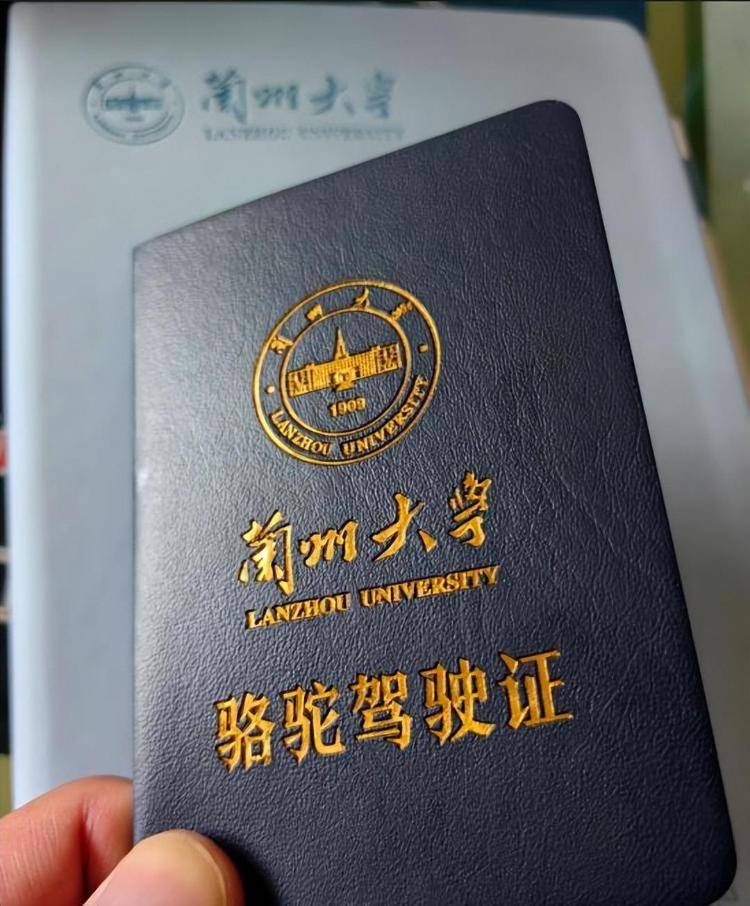 一人一驼<strong></p>
<p>BSV交易</strong>，骆驼尾气排放超标要扣分？兰大回应学生持证骑骆驼上学：骆驼驾驶证为学校文创，非官方证件
