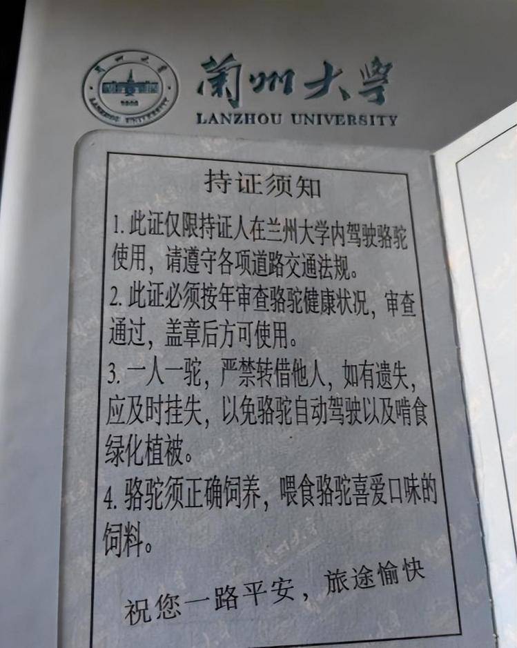 一人一驼<strong></p>
<p>BSV交易</strong>，骆驼尾气排放超标要扣分？兰大回应学生持证骑骆驼上学：骆驼驾驶证为学校文创，非官方证件