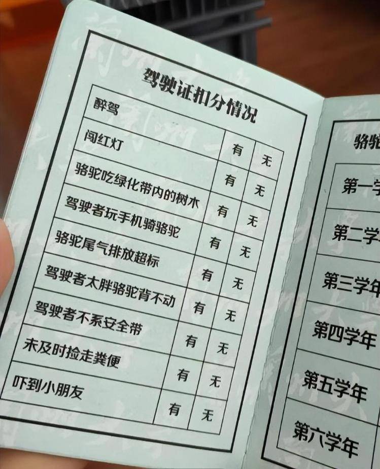 一人一驼<strong></p>
<p>BSV交易</strong>，骆驼尾气排放超标要扣分？兰大回应学生持证骑骆驼上学：骆驼驾驶证为学校文创，非官方证件
