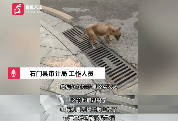 保安称“经常咬人”打死流浪犬<strong></p>
<p>OKEx交易所</strong>，居民上门讨说法：这个门卫穷凶极恶