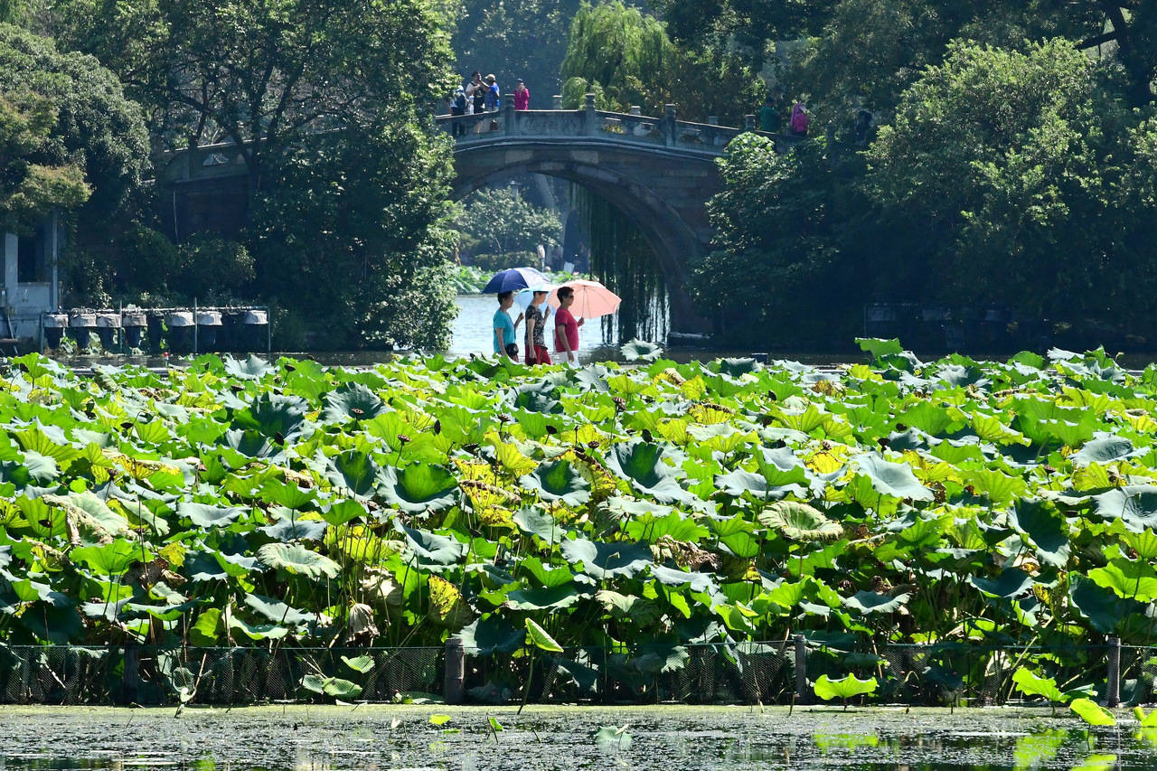 “三台共舞”对浙江有何影响？周末又有冷空气<strong></p>
<p>BITOP交易所</strong>，气温舒适