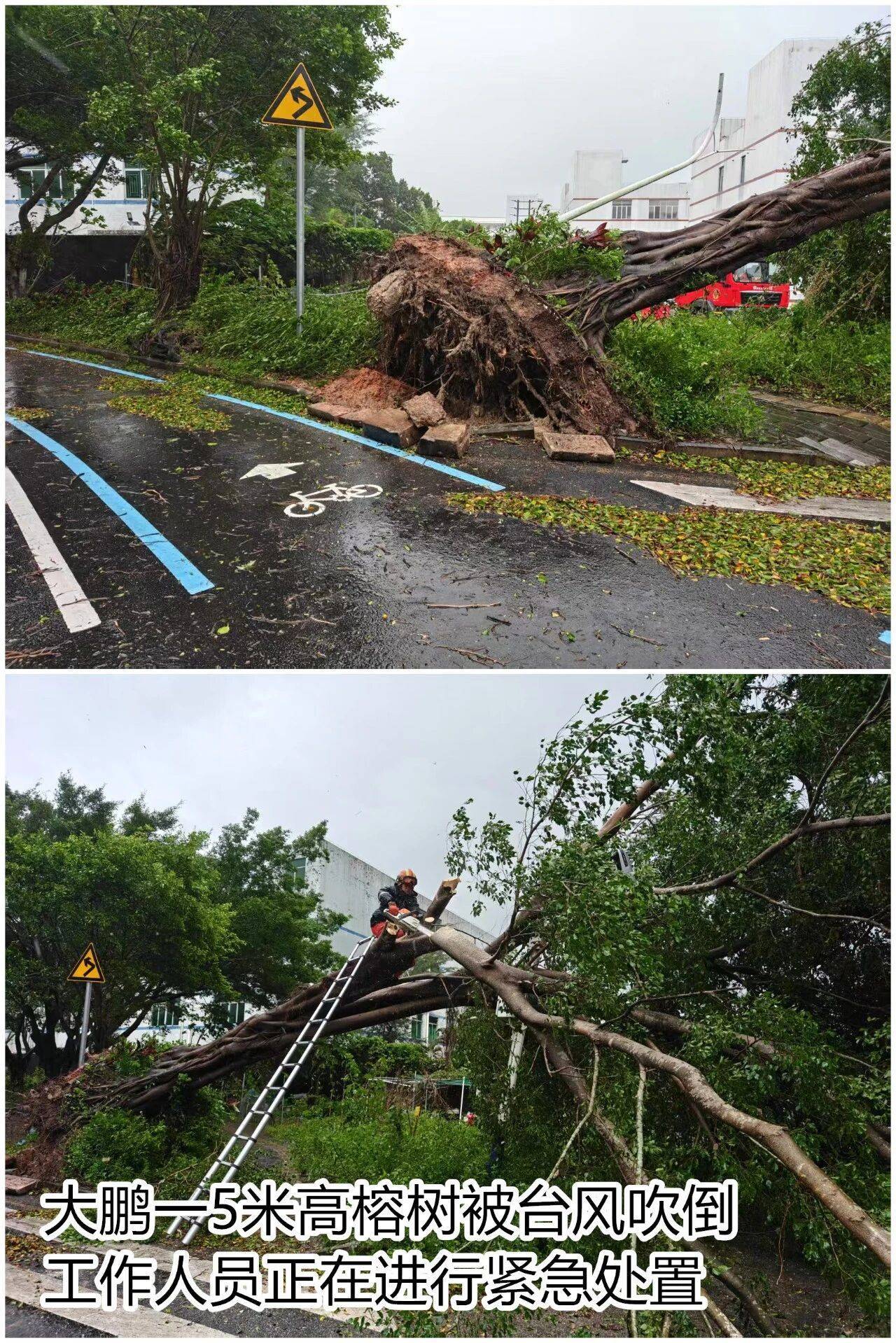 台风夜<strong></p>
<p>ETH交易所</strong>，深圳有人溺水！紧急！“桦加沙”过境，这些画面泪目