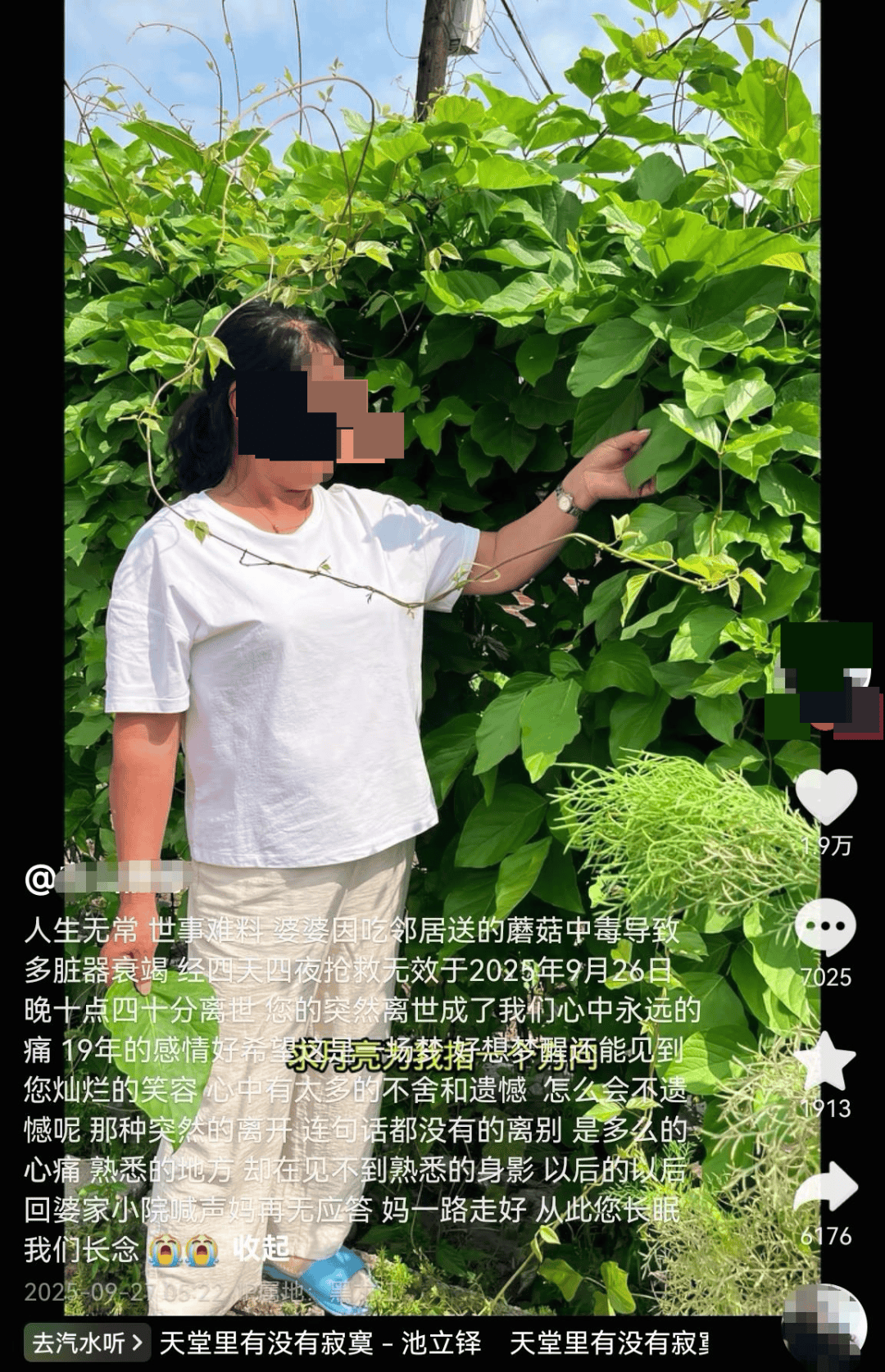 网红发文悼念婆婆：吃了邻居送的蘑菇中毒<strong></p>
<p>以太坊交易所</strong>，抢救四天四夜死亡！这些蘑菇避毒原则可能是陷阱→