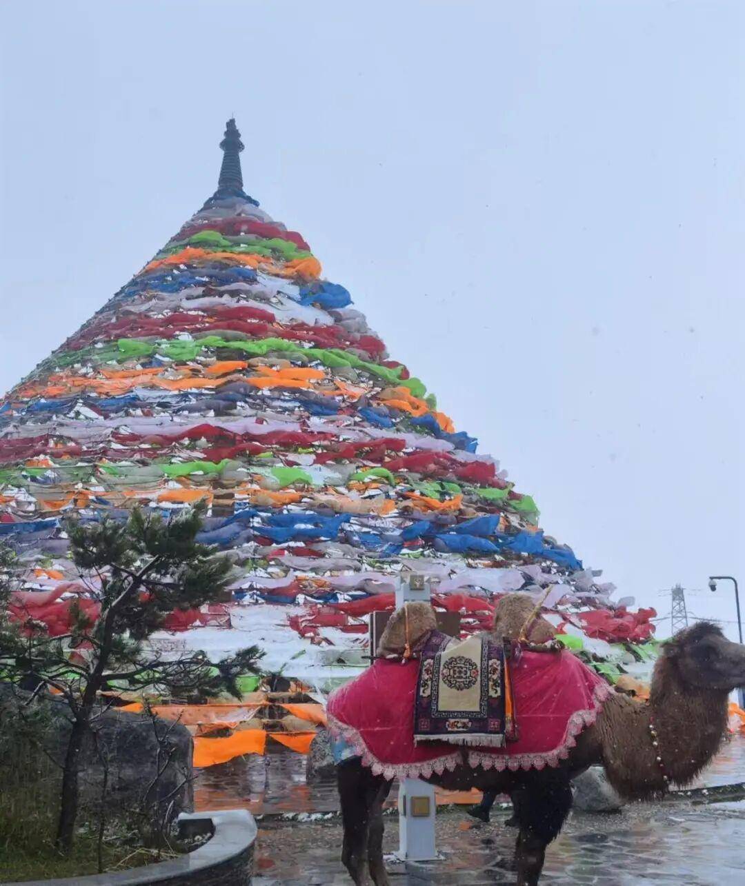 多地突降大雪<strong></p>
<p>泰达币交易所</strong>！
