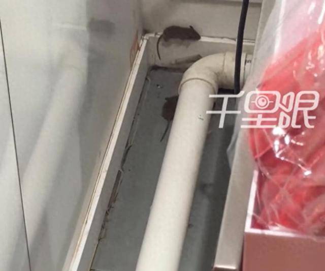 网曝蜜雪冰城一门店有多只老鼠横行<strong></p>
<p>泰达币交易所</strong>，涉事门店员工回应