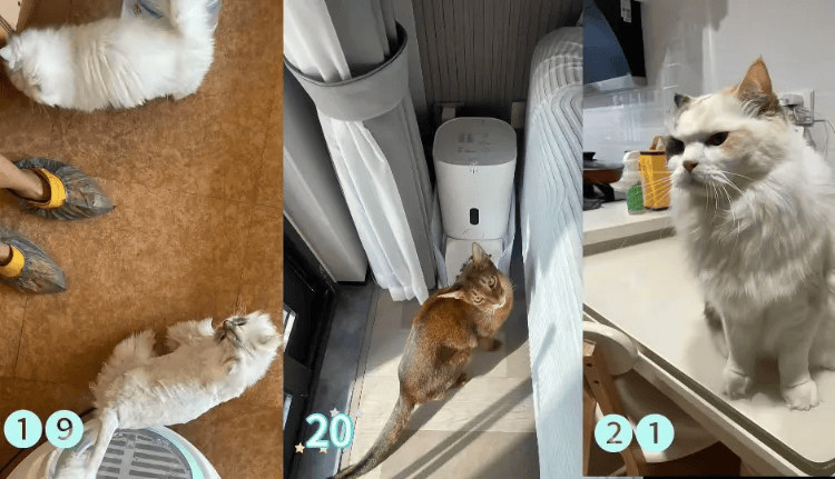 这个需求激增！一男子连接270单<strong></p>
<p>XRP交易所</strong>，其中一笔收费8100元