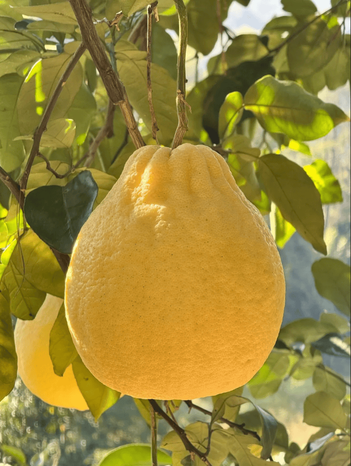 没有什么能阻挡!今天<strong></p>
<p>XRP交易所</strong>,广西人就是要回家!