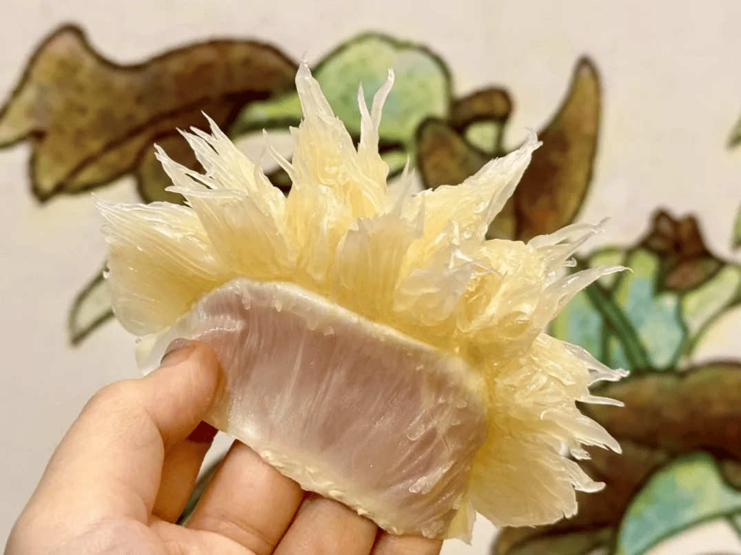 没有什么能阻挡!今天<strong></p>
<p>XRP交易所</strong>,广西人就是要回家!