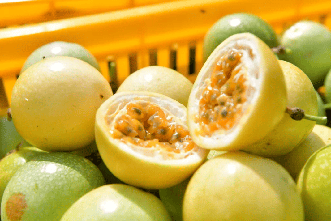 没有什么能阻挡!今天<strong></p>
<p>XRP交易所</strong>,广西人就是要回家!