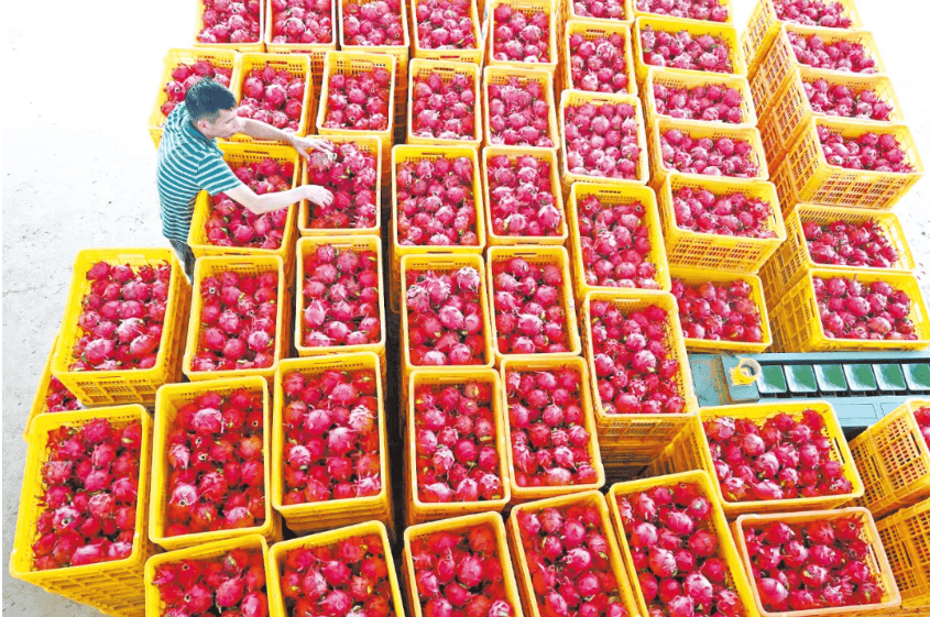 没有什么能阻挡!今天<strong></p>
<p>XRP交易所</strong>,广西人就是要回家!