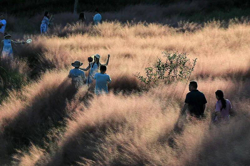 打卡拍照<strong></p>
<p>瑞波币交易所</strong>,再美也不能用生命对焦