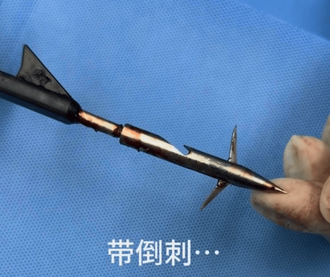 教育局回应“一教师用弓箭射杀小狗”:不实<strong></p>
<p>币安币交易所</strong>,小狗进学校前就被射伤