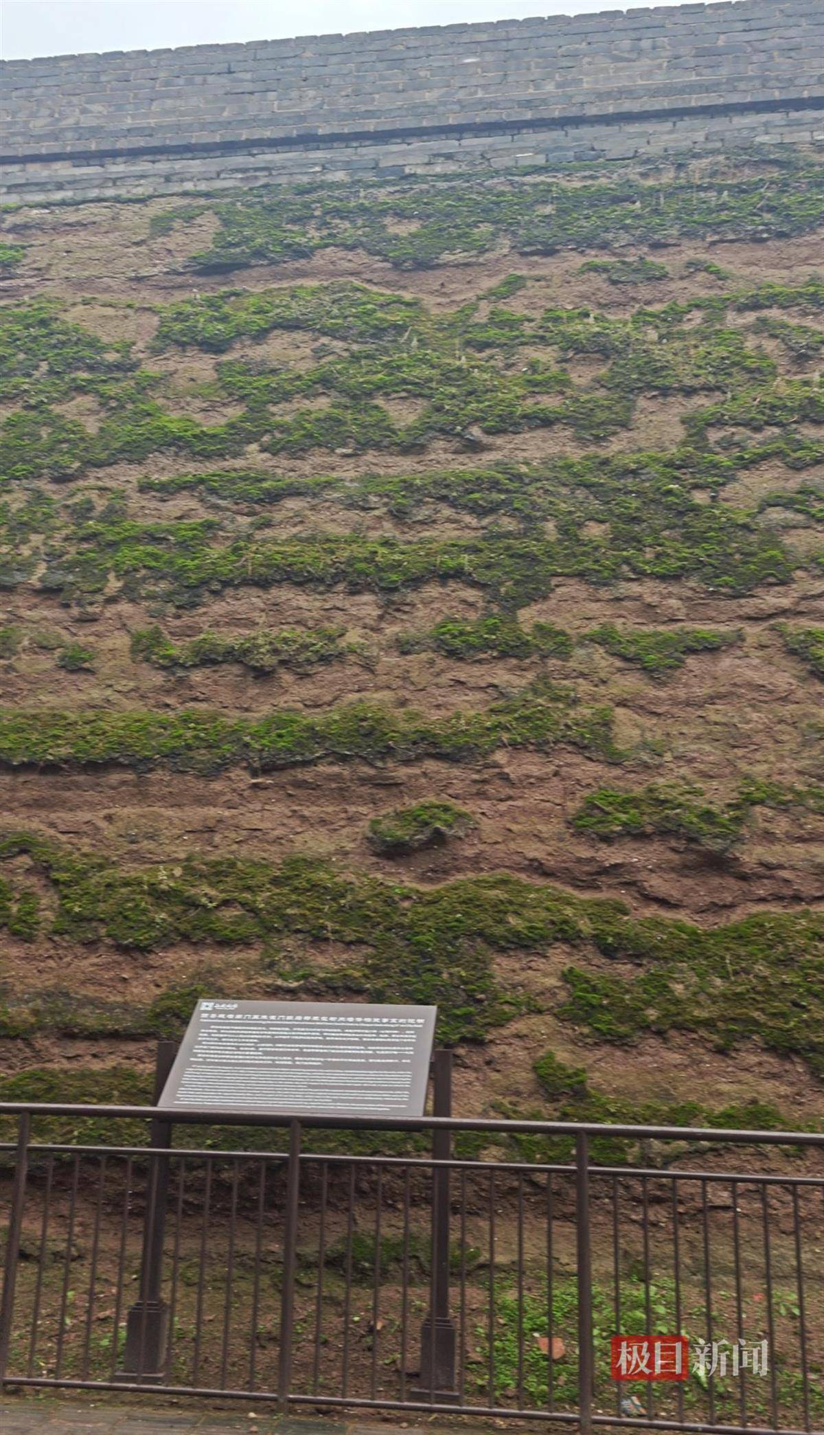 西安连续一个多月降雨遍地长蘑菇<strong></p>
<p>BNB交易所</strong>,大雁塔受潮,城墙布满青苔,气象局解释成因