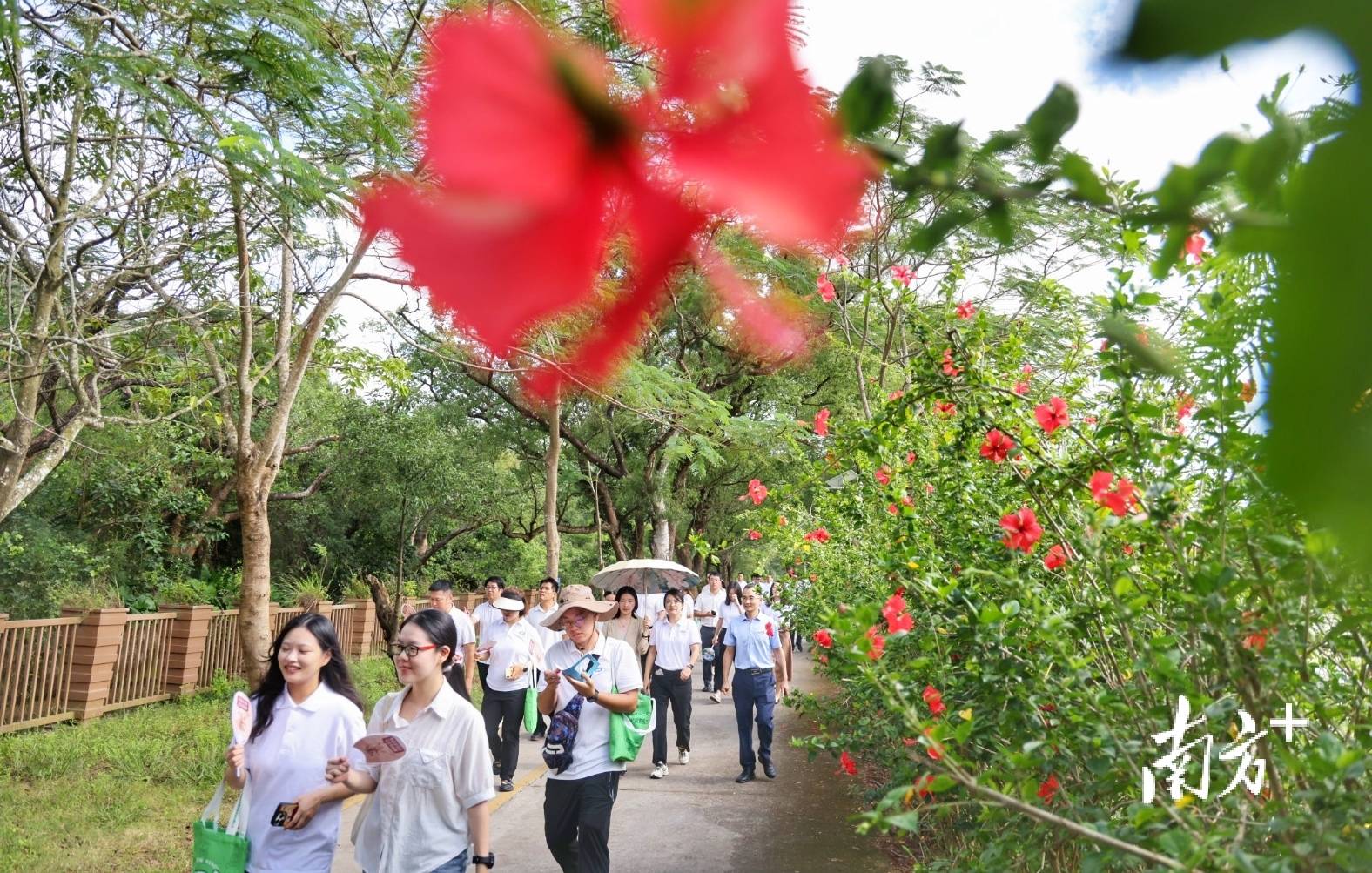 中山城建集团“连心桥”移交<strong></p>
<p>BNB交易所</strong>,村企共建绘就桂南新画卷