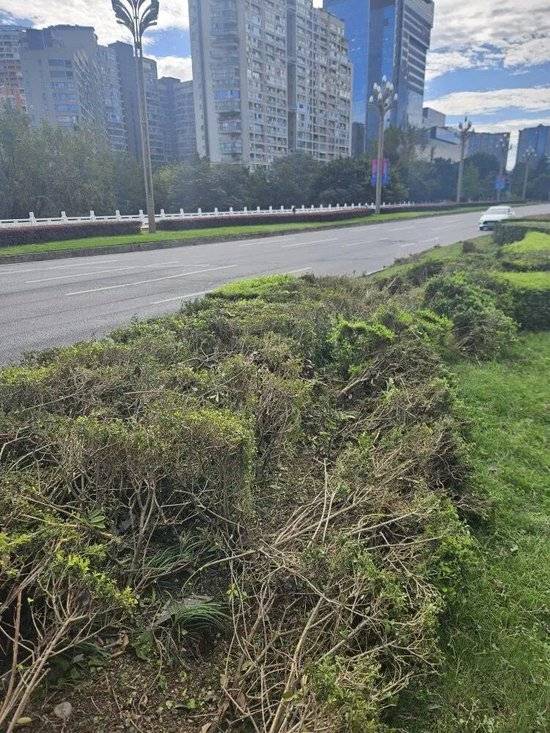 小米汽车失控起火司机遇难<strong></p>
<p>BNB交易所</strong>,目击者称车速150km/h,实探事故地:燃烧留下的印记仍在