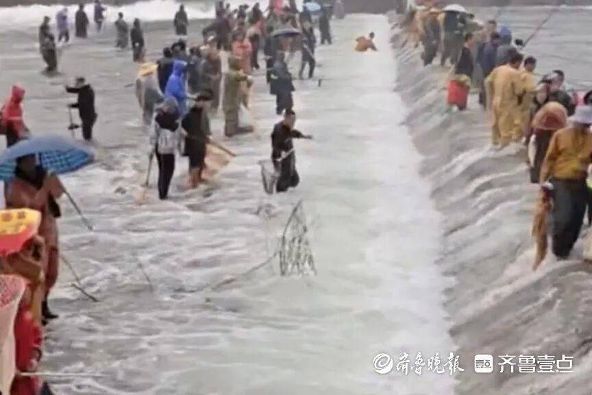 “鱼多得数不过来<strong></p>
<p>币安币交易所</strong>,一网子下去能捞好几条”济南锦绣川水库开闸放水,大量鲢鱼被冲出,工作人员:禁止捕捞!