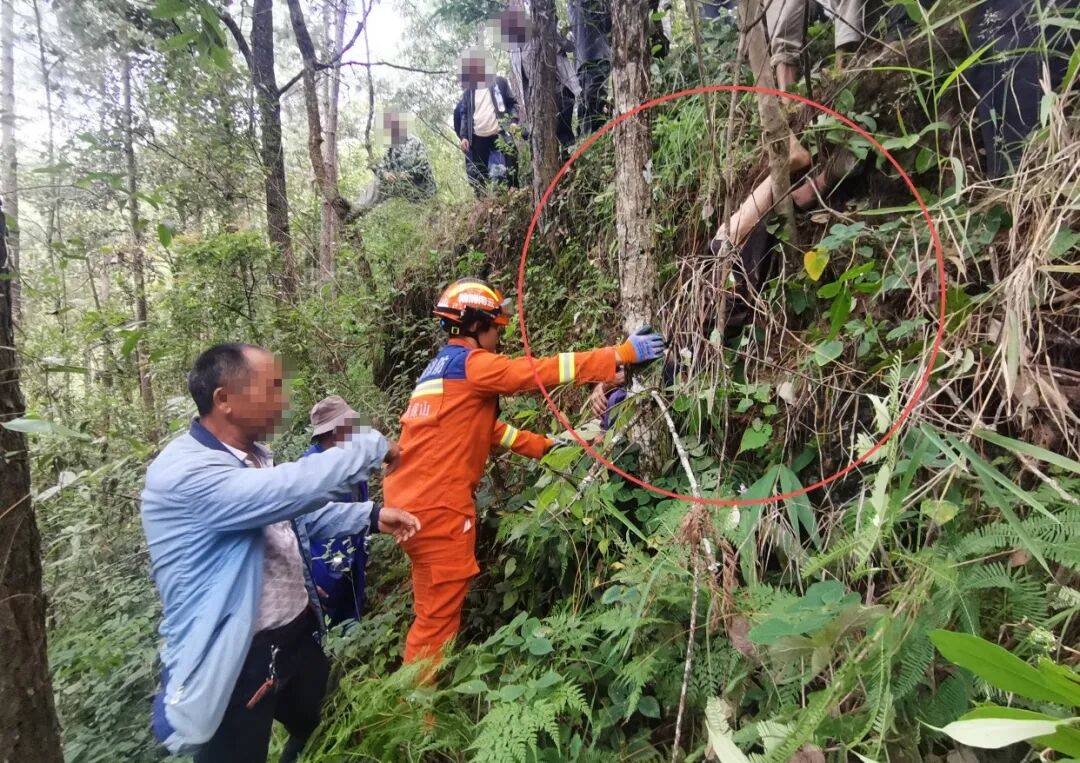 93岁老人进山失联<strong></p>
<p>ADA交易所</strong>,两天后发现他倒挂在树杈上苦撑……