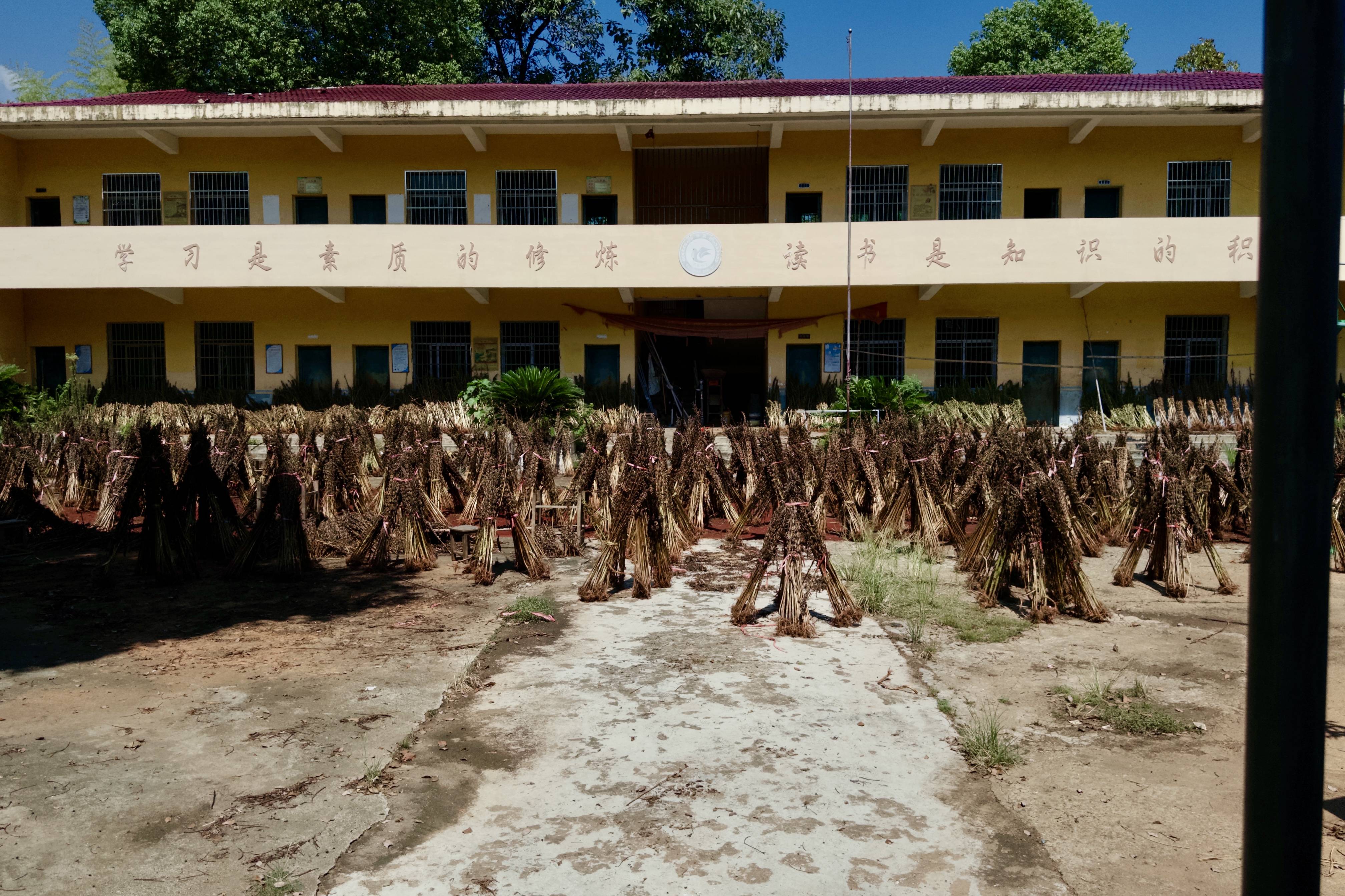 在县城当老师，没那么吃香了
