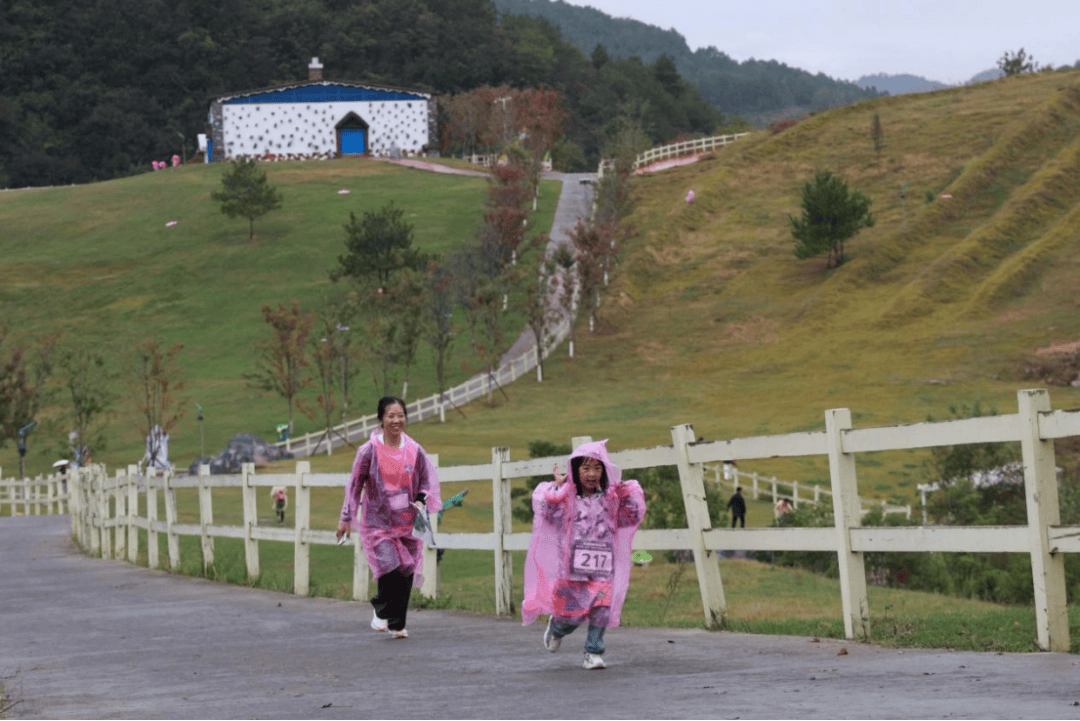 2025“魅力贵州”定向运动系列赛(黔西站)暨2025“营动中国”露营大会(黔西站)在羊驼小镇圆满落幕