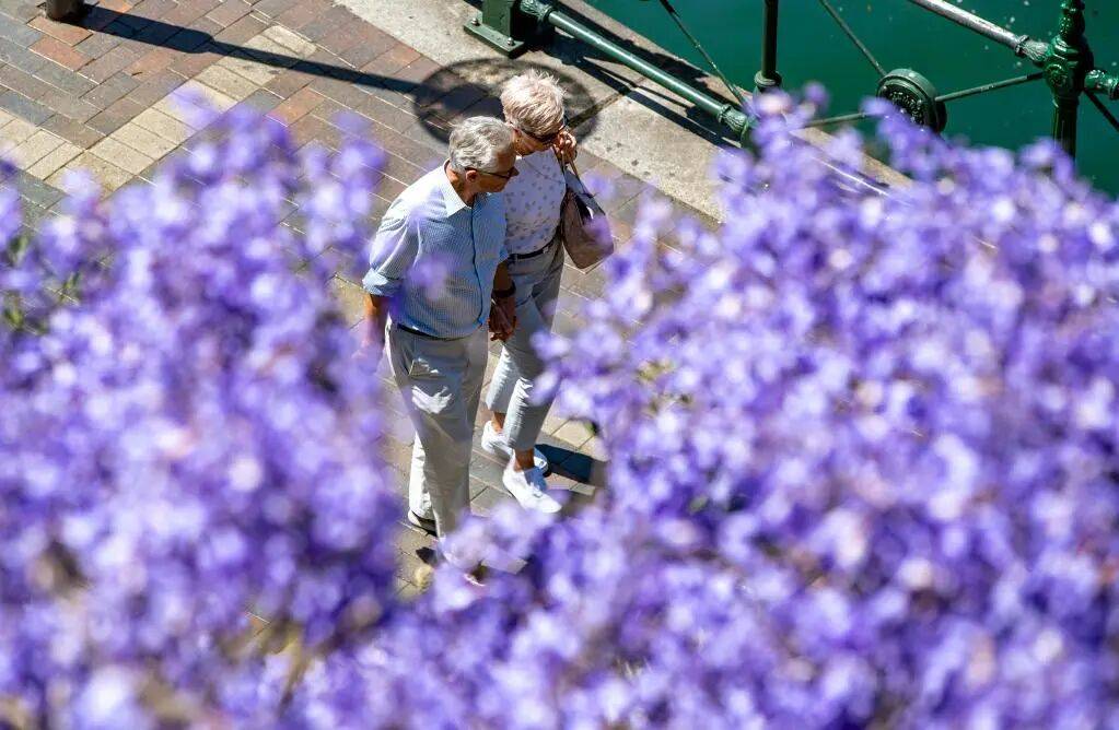 别说自己老了<strong></p>
<p>比特现金交易所</strong>,大脑功能或60岁时达巅峰