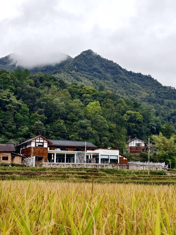 推窗见梯田<strong></p>
<p>莱特币交易所</strong>!梧桐山民宿:把日子过成诗