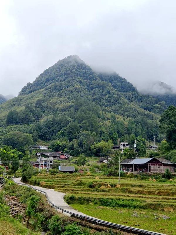 推窗见梯田<strong></p>
<p>莱特币交易所</strong>!梧桐山民宿:把日子过成诗