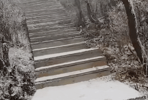 石家庄下雪了<strong></p>
<p>LTC交易所</strong>!河北雨雪上线!新一股冷空气在路上……