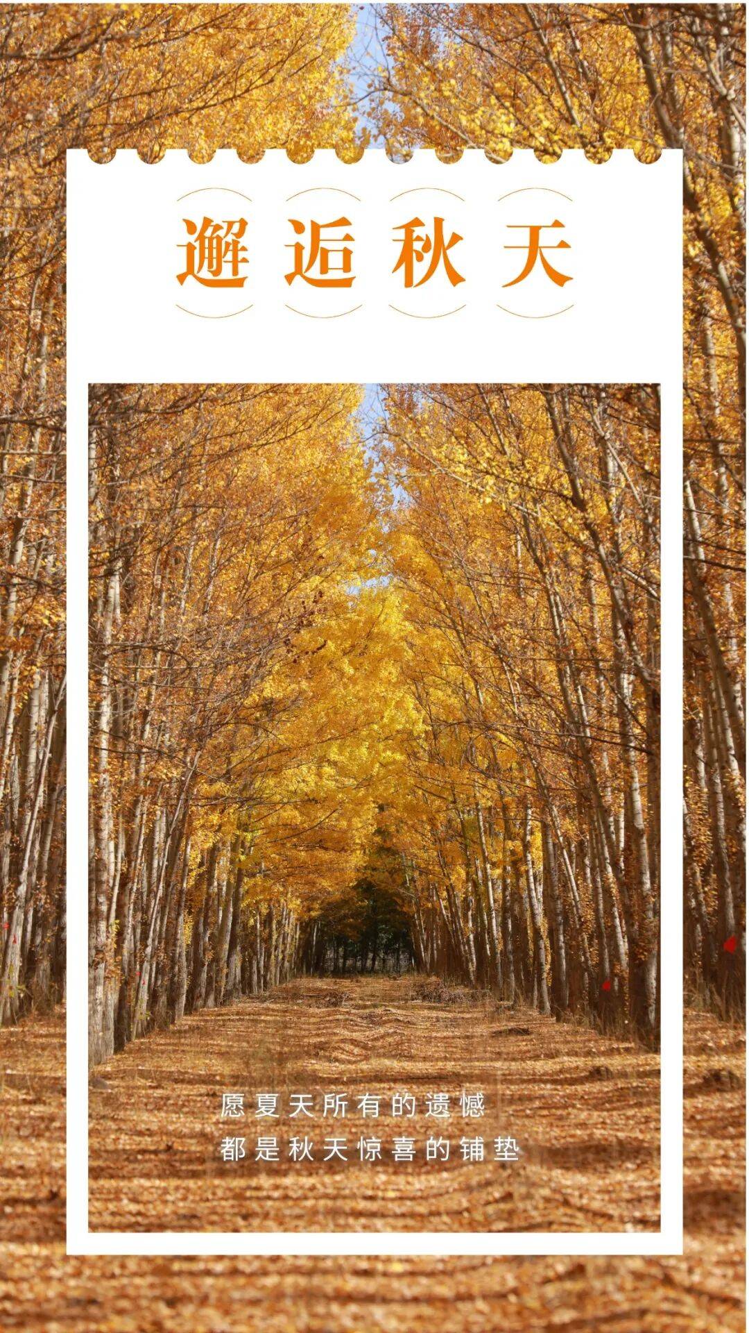 邂逅博州的秋天<strong></p>
<p>LTC交易所</strong>，从从容容游刃有余