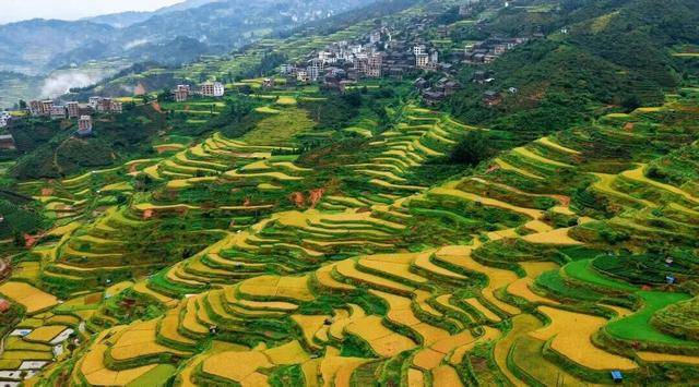 金秋<strong></p>
<p>LTC交易所</strong>,广西的梯田一点不输!