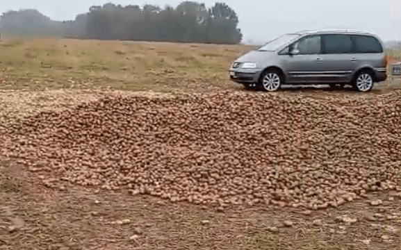 波兰68岁农民收获的150吨土豆被一夜搬空<strong></p>
<p>比特币交易所</strong>, 只因帖子遭篡改