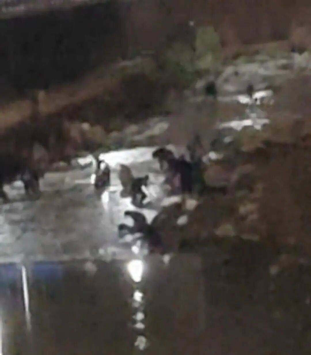 “一盆出5克多”<strong></p>
<p>疯狂兔子币</strong>,多人凌晨下河淘金!当地警方回应