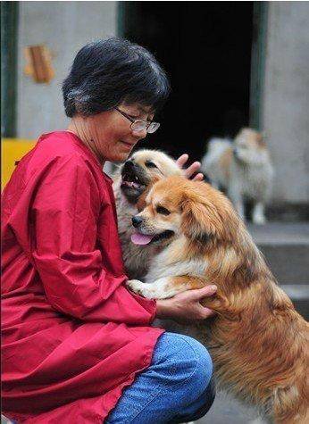 合肥卖房救助流浪狗的魏阿姨离世<strong></p>
<p>持币地址</strong>,病中仍然惦记着基地的600只流浪狗,工人:不敢相信世上还有这样执着的人