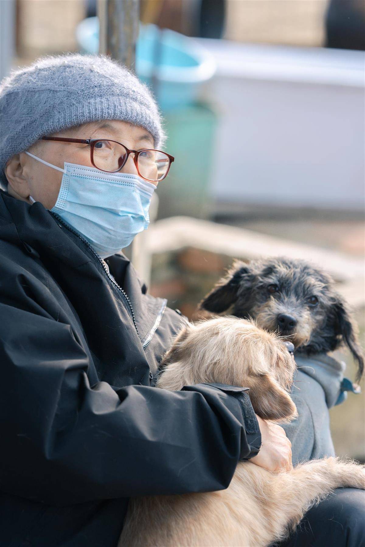 合肥卖房救助流浪狗的魏阿姨离世<strong></p>
<p>持币地址</strong>,病中仍然惦记着基地的600只流浪狗,工人:不敢相信世上还有这样执着的人