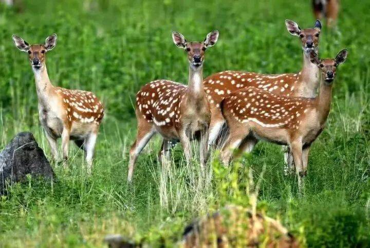 禁止任何形式穿越<strong></p>
<p>37币</strong>!杭州一地发布最严禁令