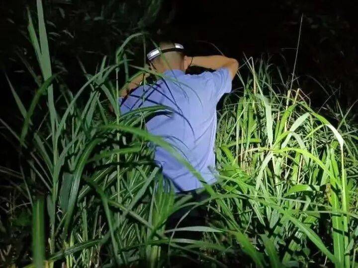 禁止任何形式穿越<strong></p>
<p>37币</strong>!杭州一地发布最严禁令