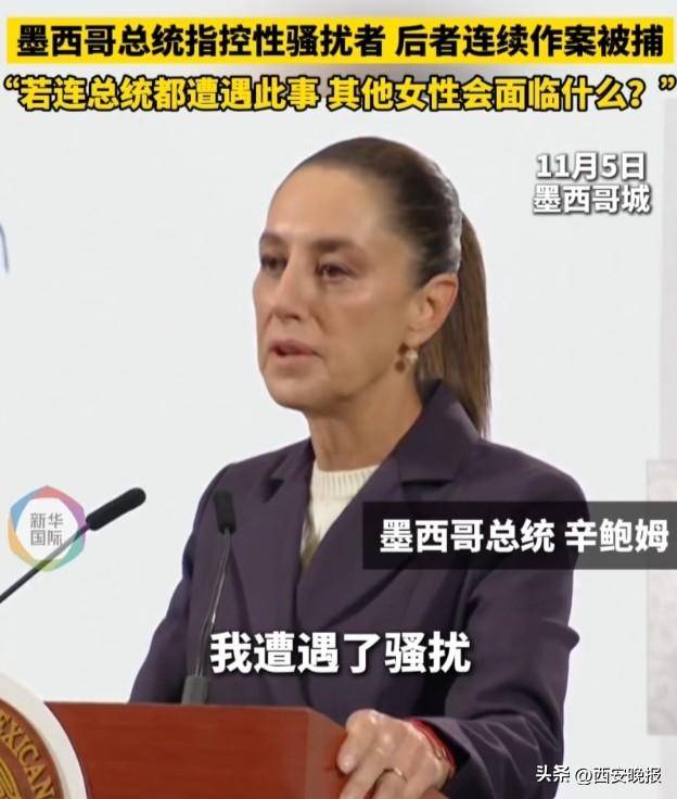 街头遭醉汉“咸猪手” 墨西哥女总统强硬发声
