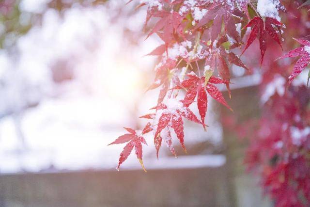 百年难遇“早立冬”来了<strong></p>
<p>币万</strong>!有啥讲究?早看早准备!