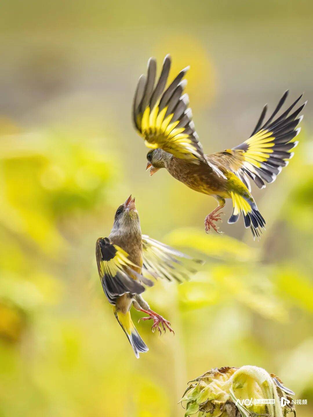 东莞最新发布:将严厉打击这些行为<strong></p>
<p>币万</strong>!