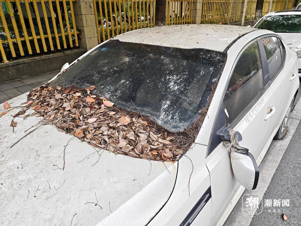 近三成疑似“僵尸车”<strong></p>
<p>炒币</strong>，杭州这里的路边免费车位缘何成“停车场”