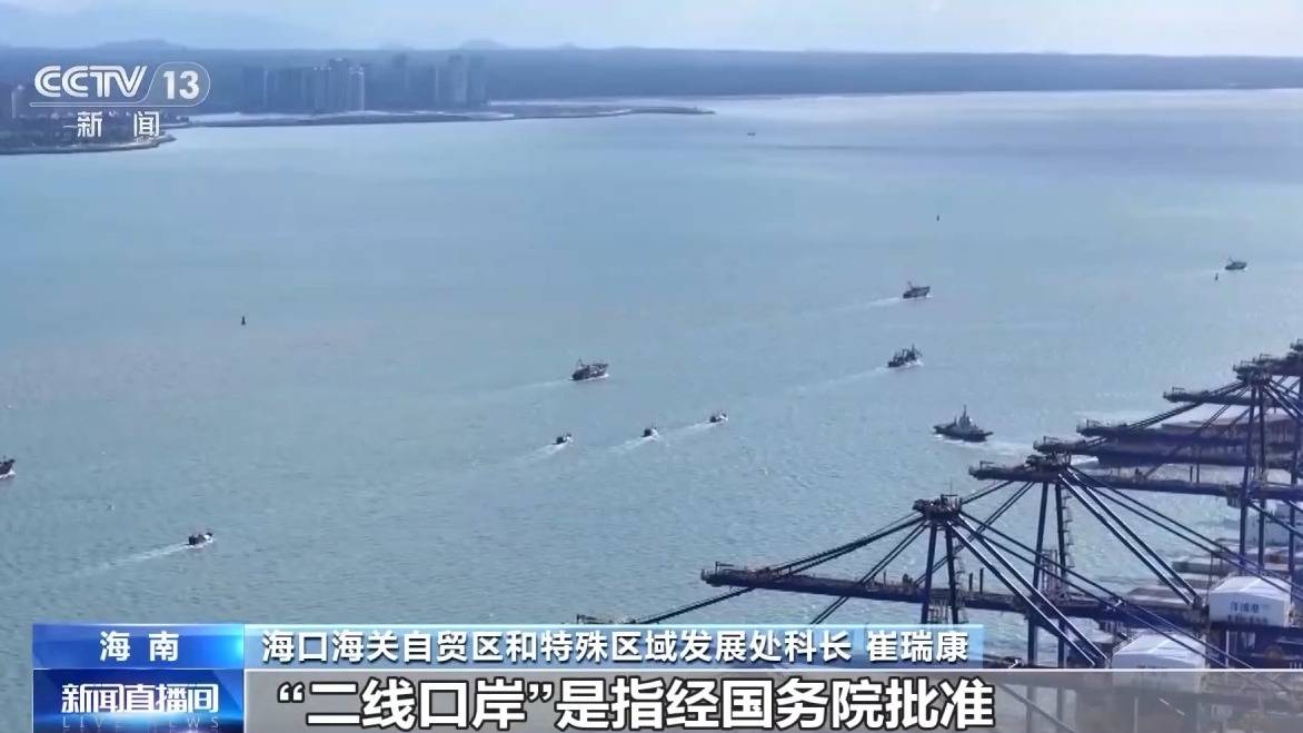 视频丨什么是海南自贸港全岛封关运作<strong></p>
<p>lun币</strong>?一文解答