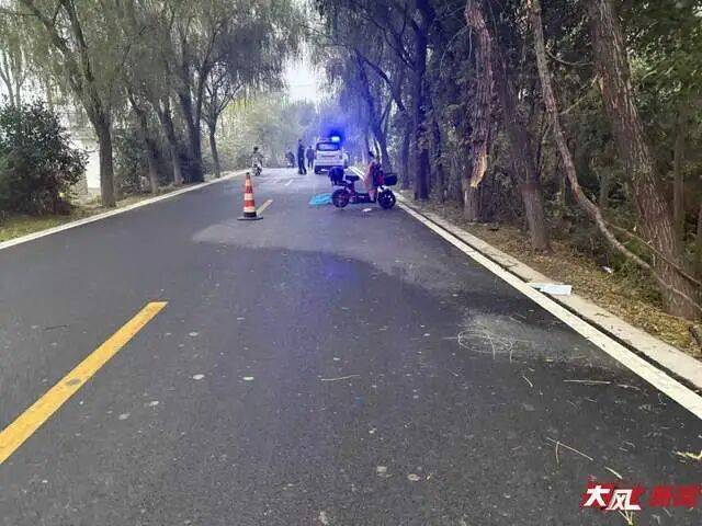 陕西兴平56岁女教师骑电动车“撞树枝”身亡<strong></p>
<p>lun币</strong>，交警判定担主责，家属提出诸多质疑，多方回应